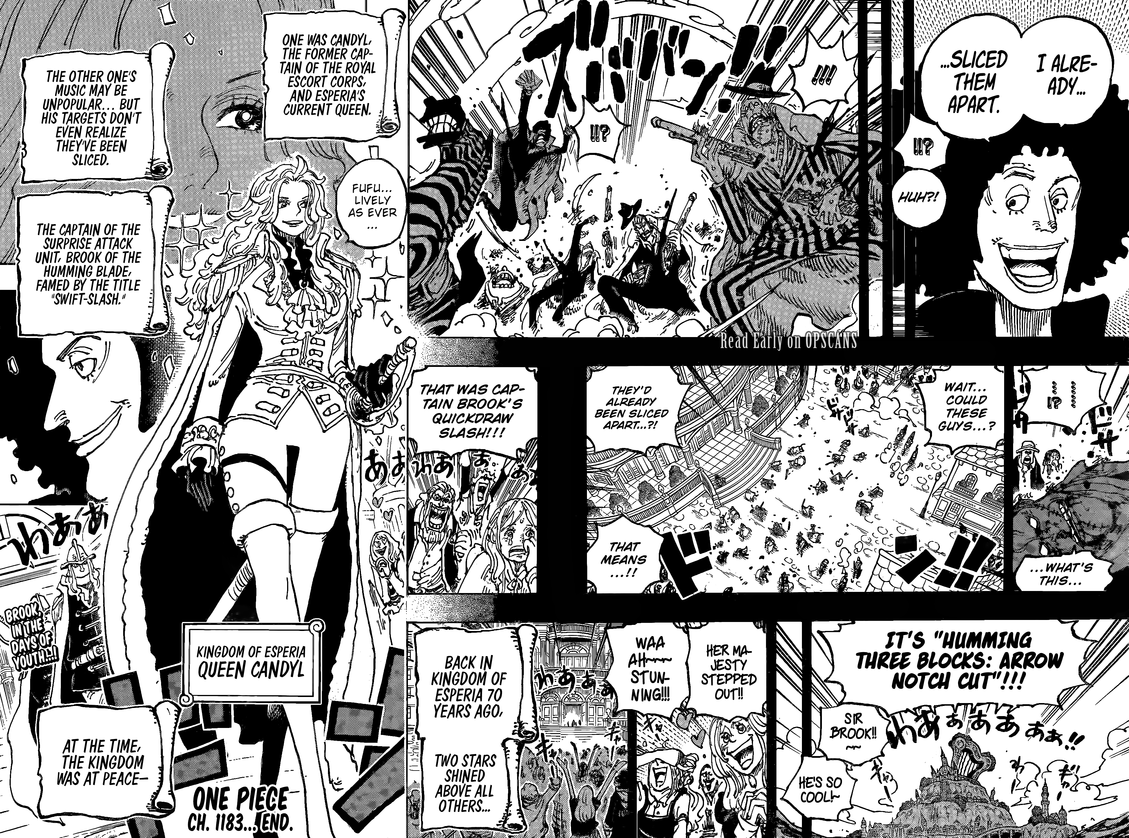 One Piece, Chapter 1183 image 15